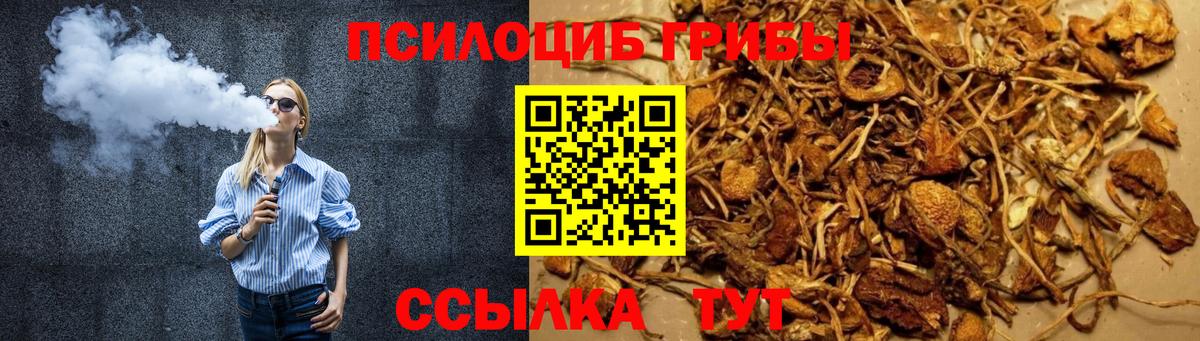 Белово  Псилоцибиновые грибы Magic Shrooms  сколько стоит  Вход с VPN 