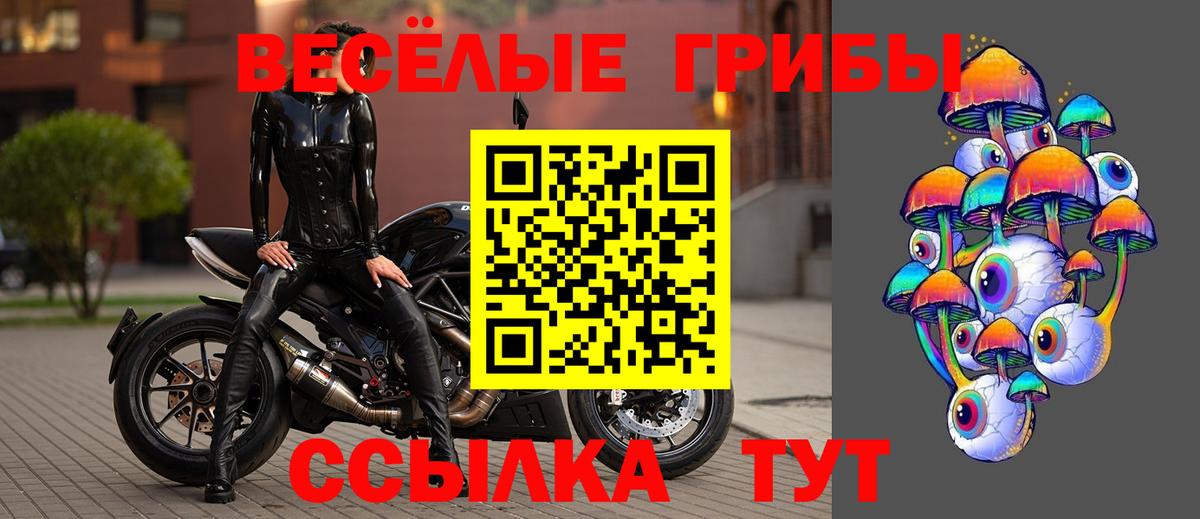 Галлюциногенные грибы Psilocybine cubensis Белово